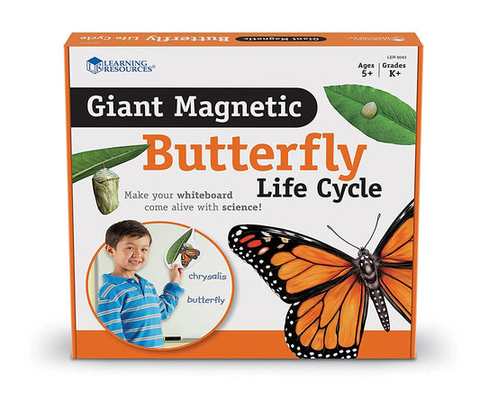 Learning Resources Giant Magnetic Butterfly Life Cycle