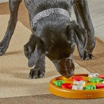 Pizza Party! Treat Puzzle