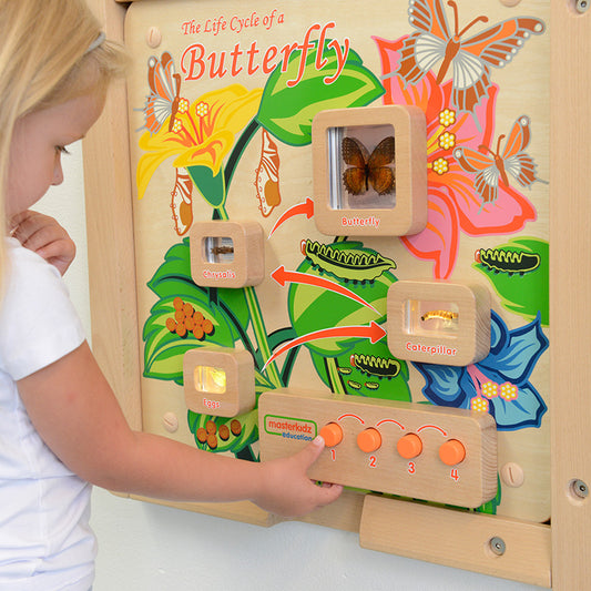 Masterkidz Wall Elements - Light-Up Butterfly Life Cycle Stages Panel 牆面遊戲-蝴蝶成長階段標本探索燈板