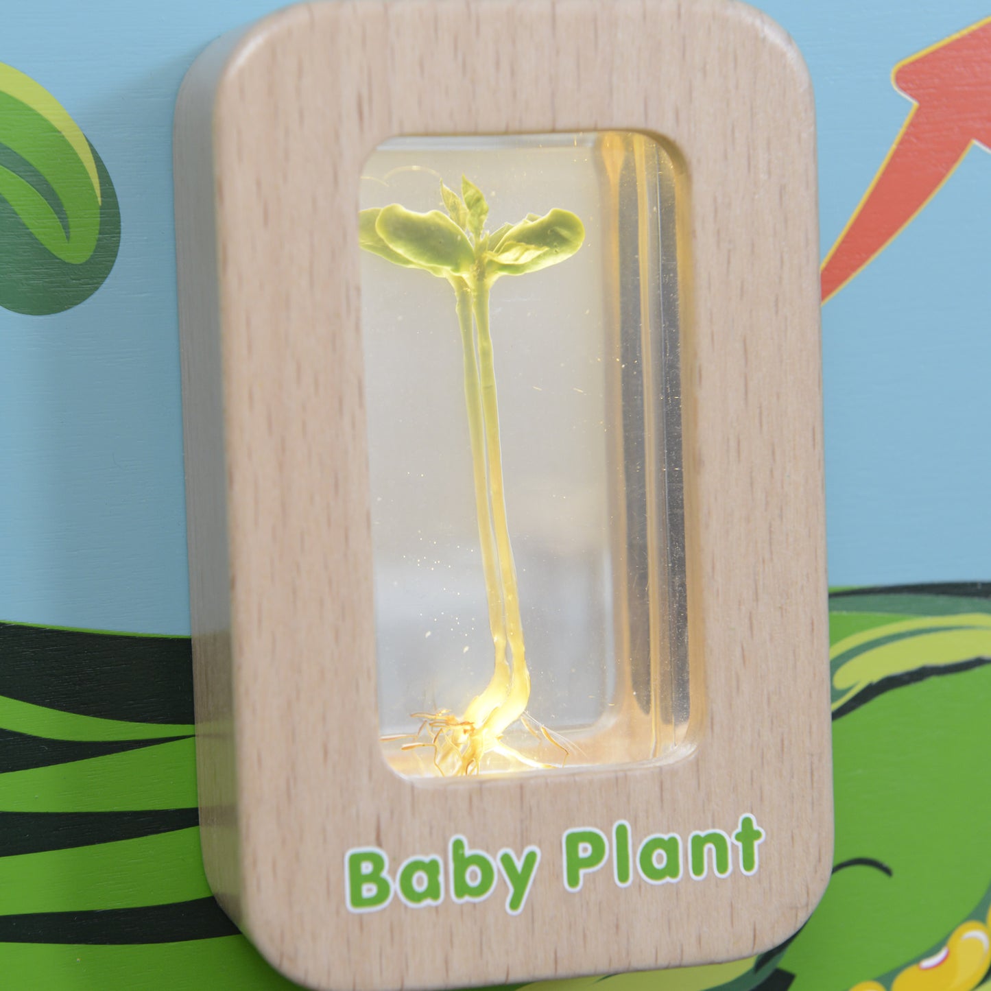 Masterkidz Wall Elements - Light-Up Plant Life Cycle Stages Panel 牆面遊戲-植物成長階段標本探索燈板