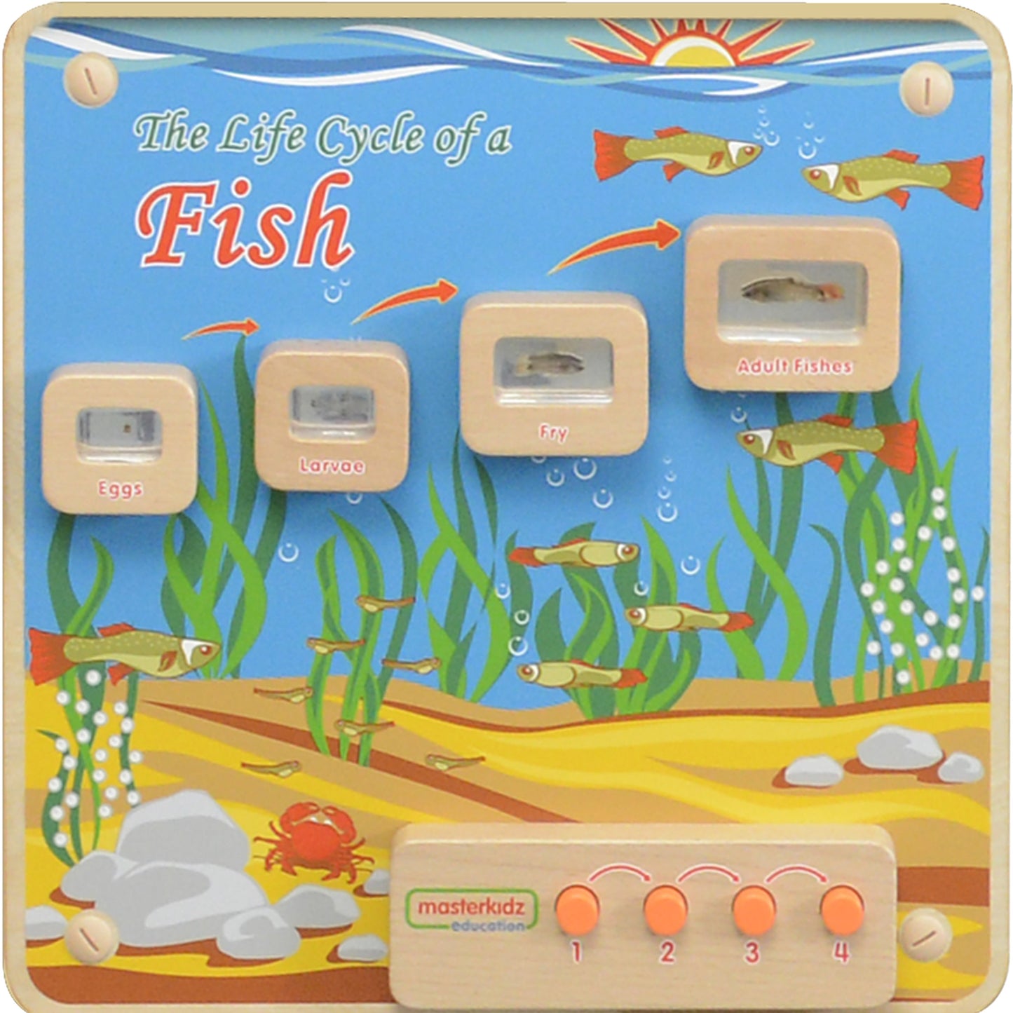 Masterkidz Wall Elements - Light-Up Fish Life Cycle Stages Panel 牆面遊戲-魚成長階段標本探索燈板