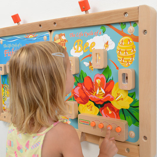 Masterkidz Wall Elements - Light-Up Bee Life Cycle Stages Panel 牆面遊戲-蜜蜂成長階段標本探索燈板
