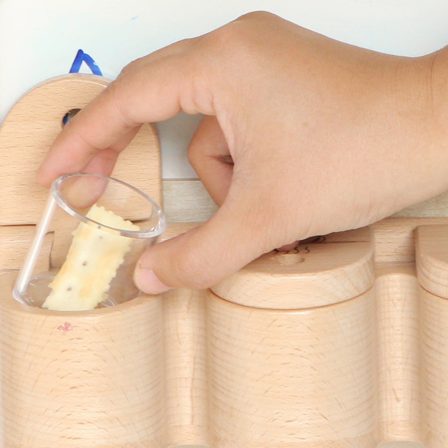 Masterkidz Wall Elements - Sense of Smell 牆面遊戲 - 嗅覺