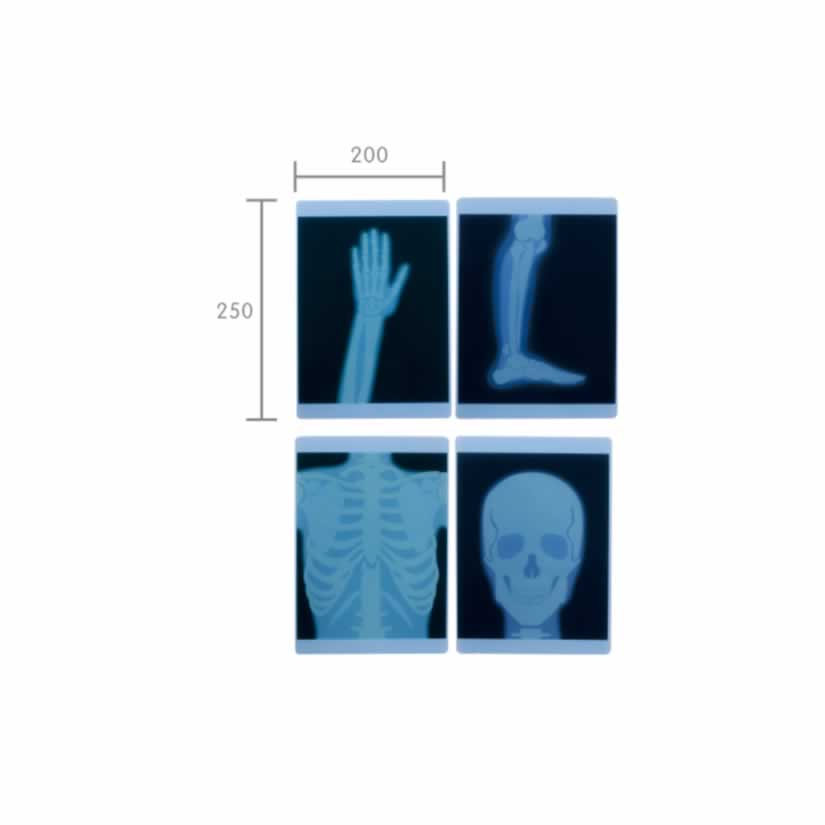 Masterkidz X-Ray Film 4 Piece Set X光片套裝（4張）