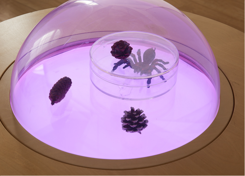 Masterkidz Hemispherical Observation Table (Light Panel Not Included) 半球形觀察桌（不含光板）