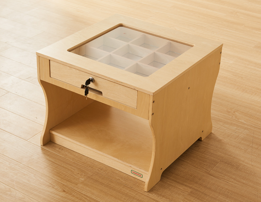 Masterkidz Science is Fun! Display Table 「科學真有趣！」標本觀察桌