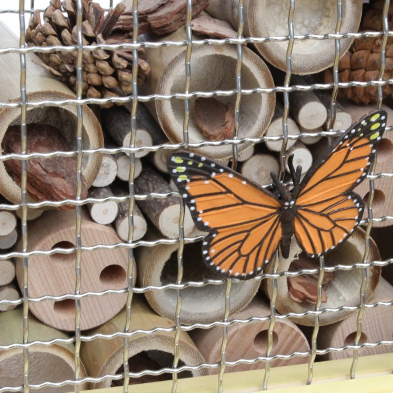 Insect Stand Masterkidz Insect and Plant Observation Stand 種養系列 - 昆蟲植物觀察站 – MY ...