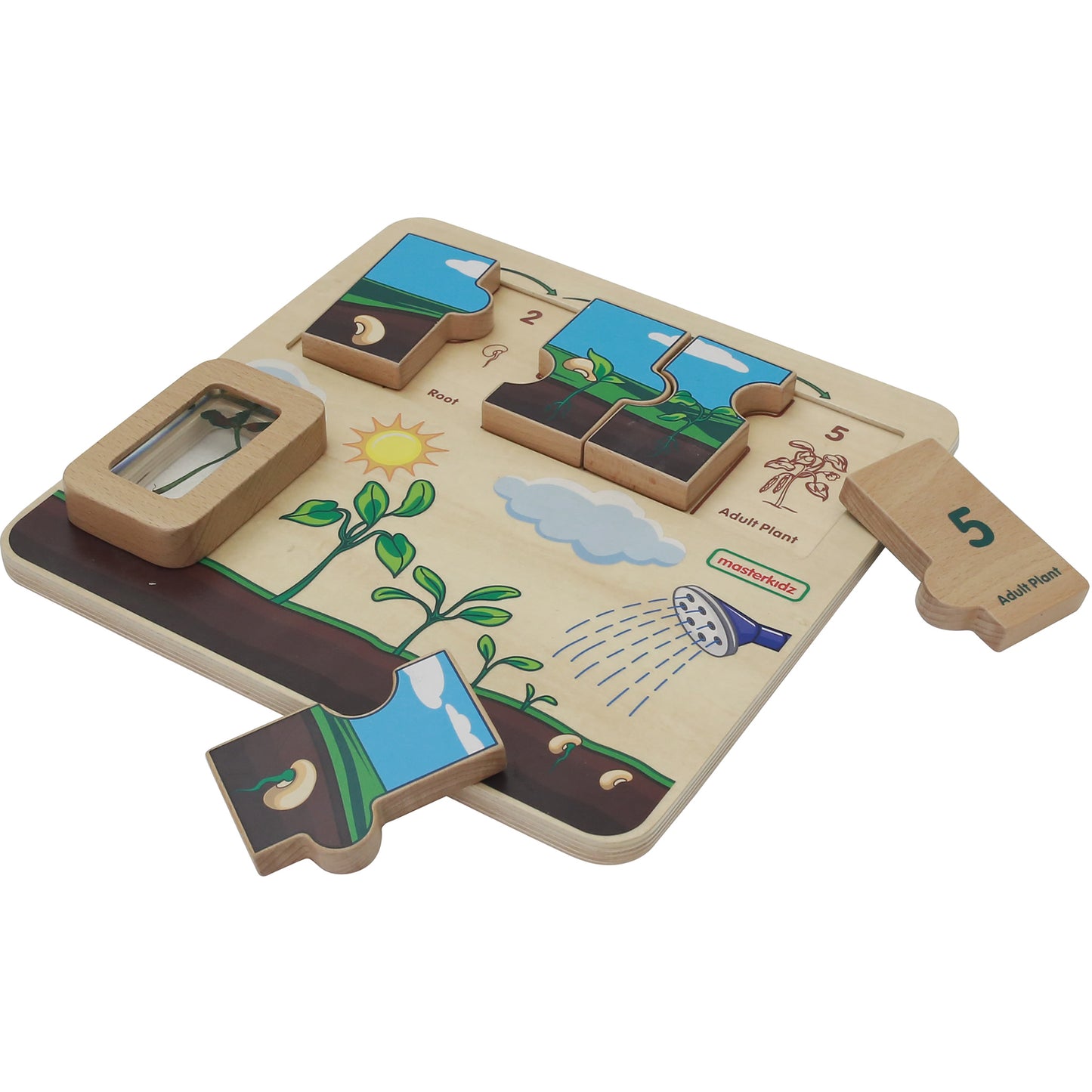 Masterkidz Plant Life Cycle Handy Learning  Board 植物成長學習板