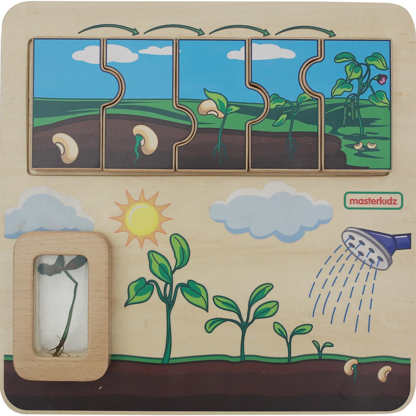 Masterkidz Plant Life Cycle Handy Learning  Board 植物成長學習板