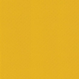 Kindermatic BS7176 Standard Color Folding Gymnastics Mat Thick 阻燃5cm厚 單色折疊體操墊