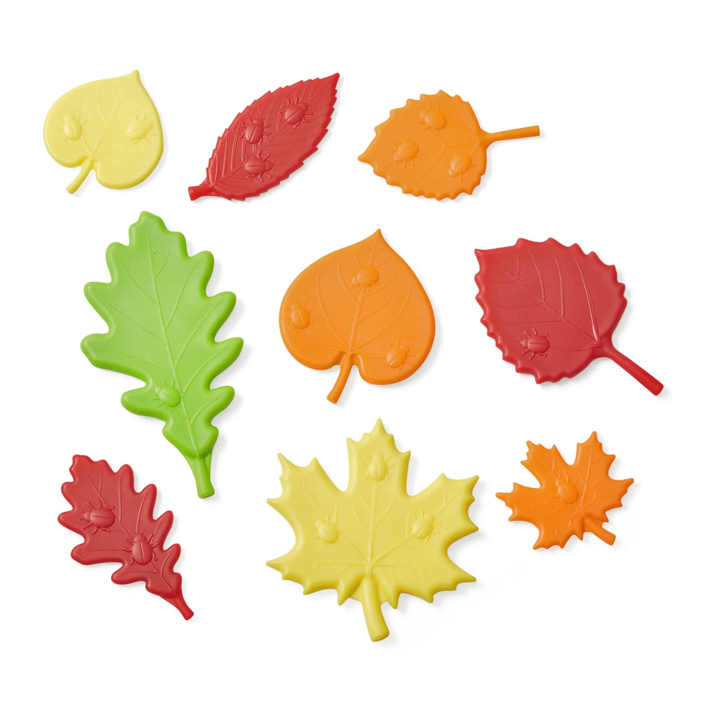 Hand2Mind Sensory Leaves Math Activity Set 感官葉數學活動套裝