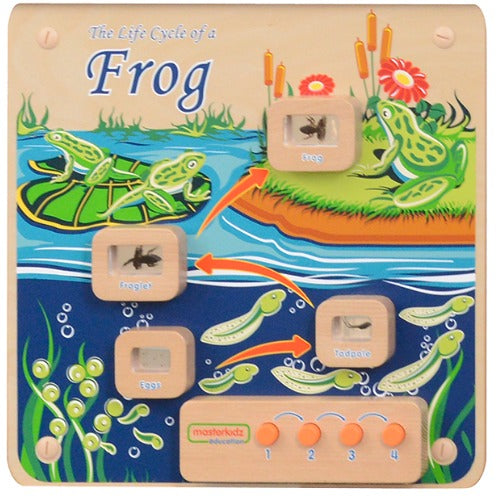 Masterkidz Wall Elements - Light-Up Frog Life Cycle Stages Panel 牆面遊戲-青蛙成長階段標本探索燈板
