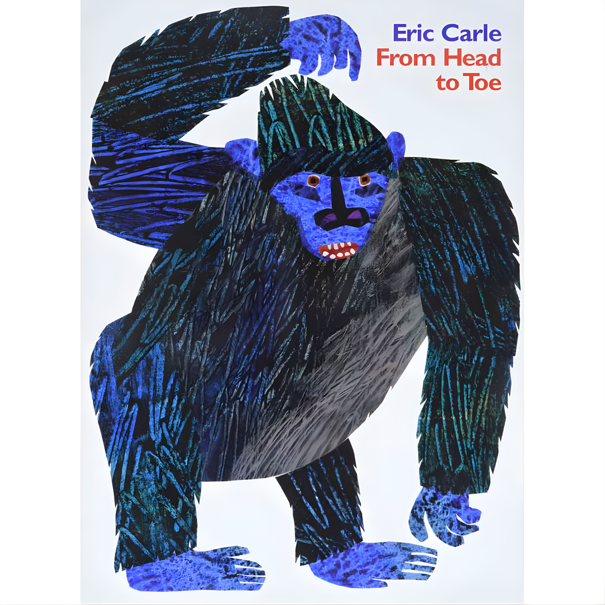 From Head to Toe by Eric Carle – MY SCHOOL BUS