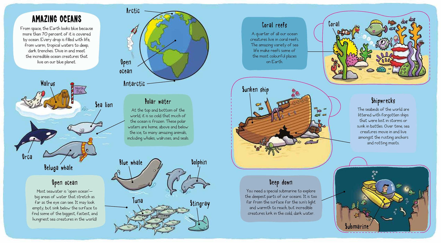 Bonnier Little Explorers: Under the Sea 海洋生物 小小探險家系列翻翻書