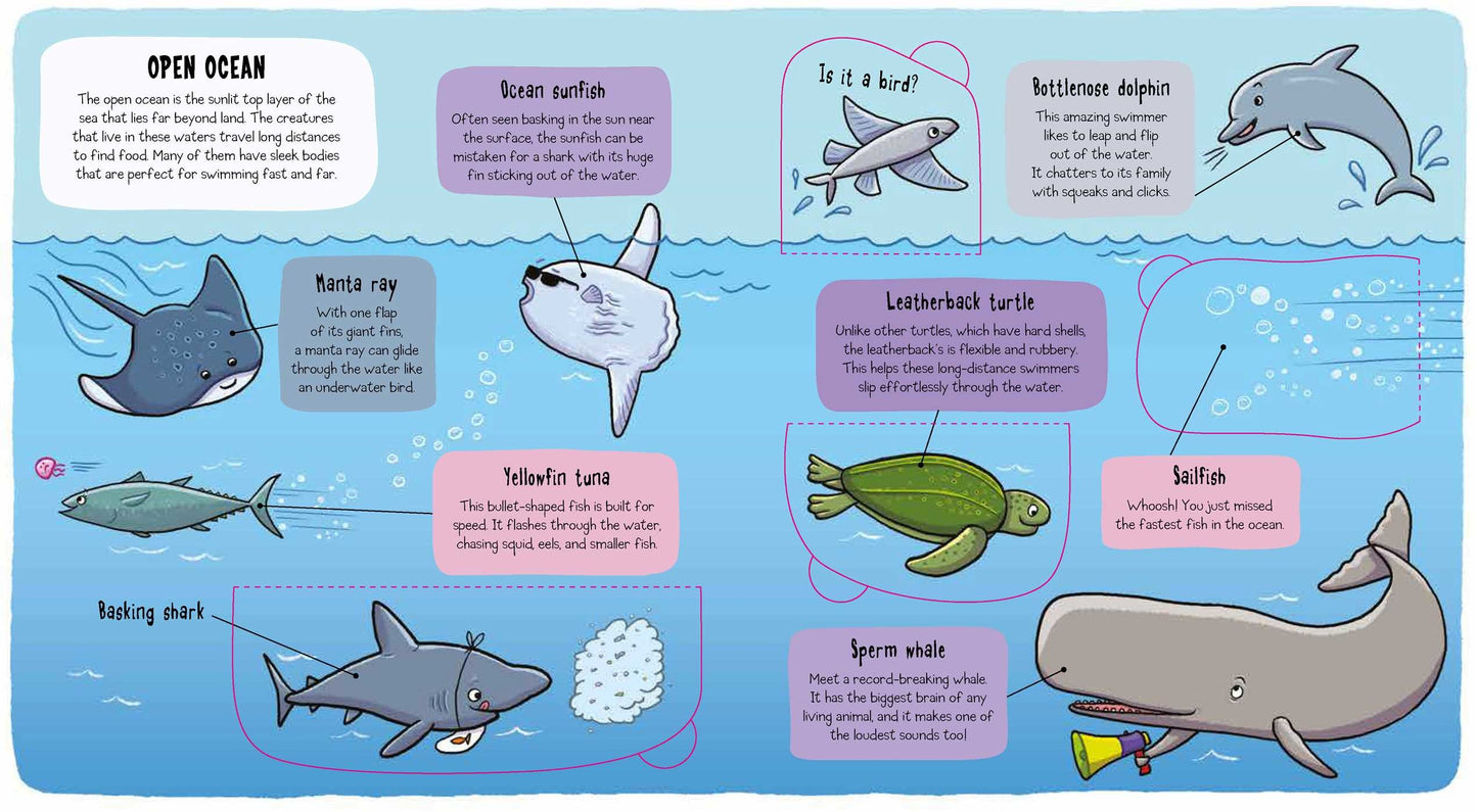 Bonnier Little Explorers: Under the Sea 海洋生物 小小探險家系列翻翻書