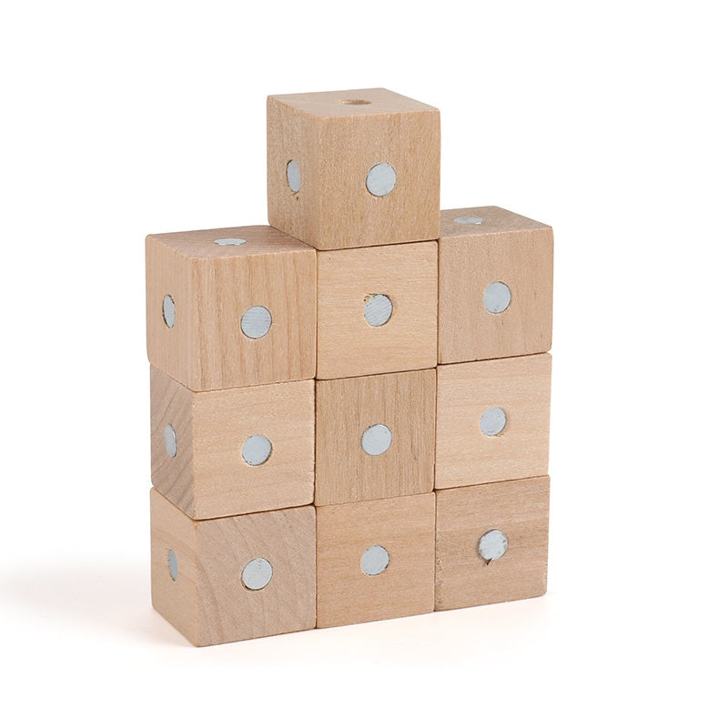 Magnet World: Magnetic Wooden Block 磁性方塊