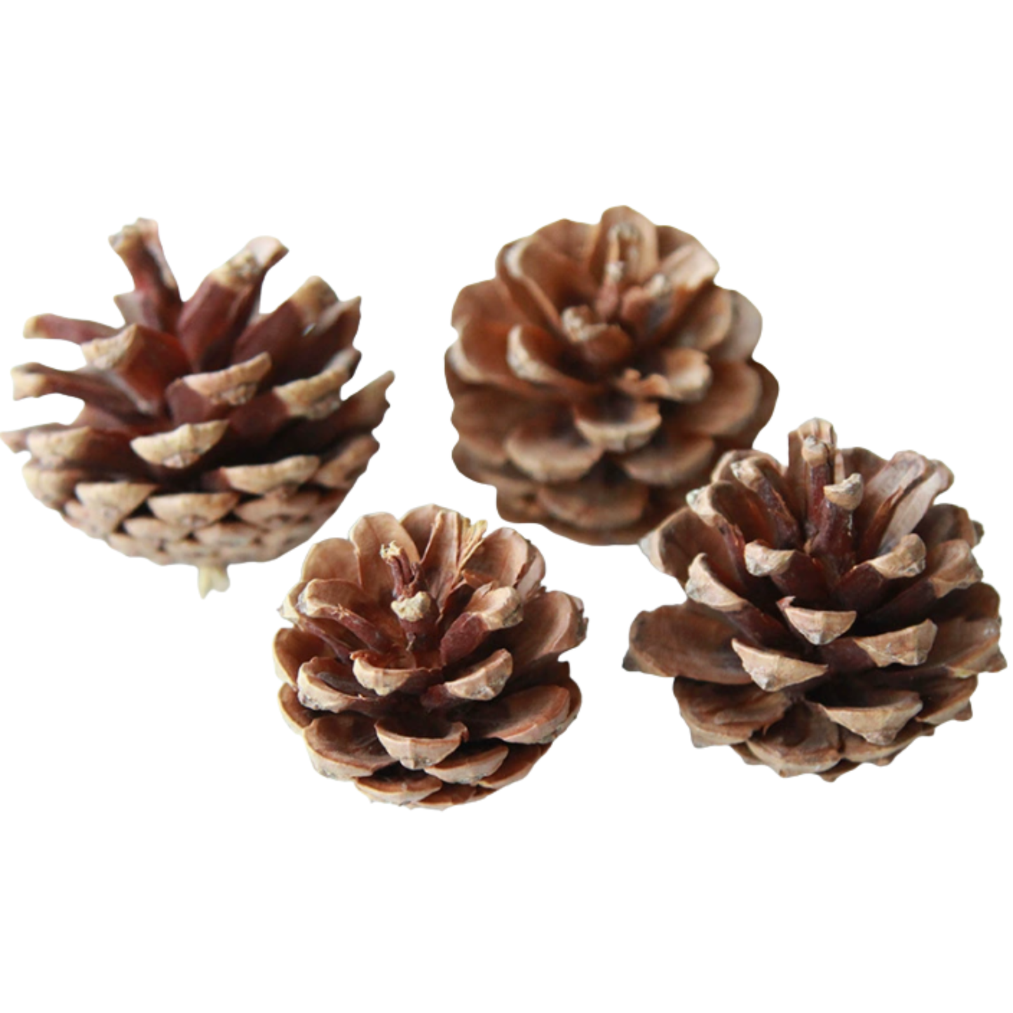 DIY Craft Material 手工材料