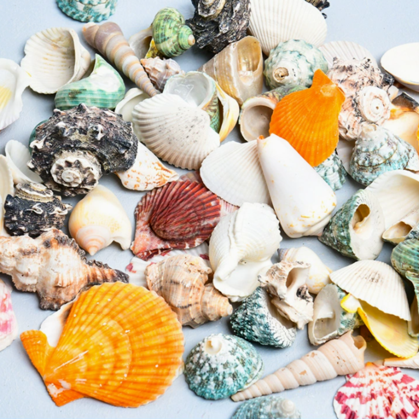 DIY Craft Material 手工材料