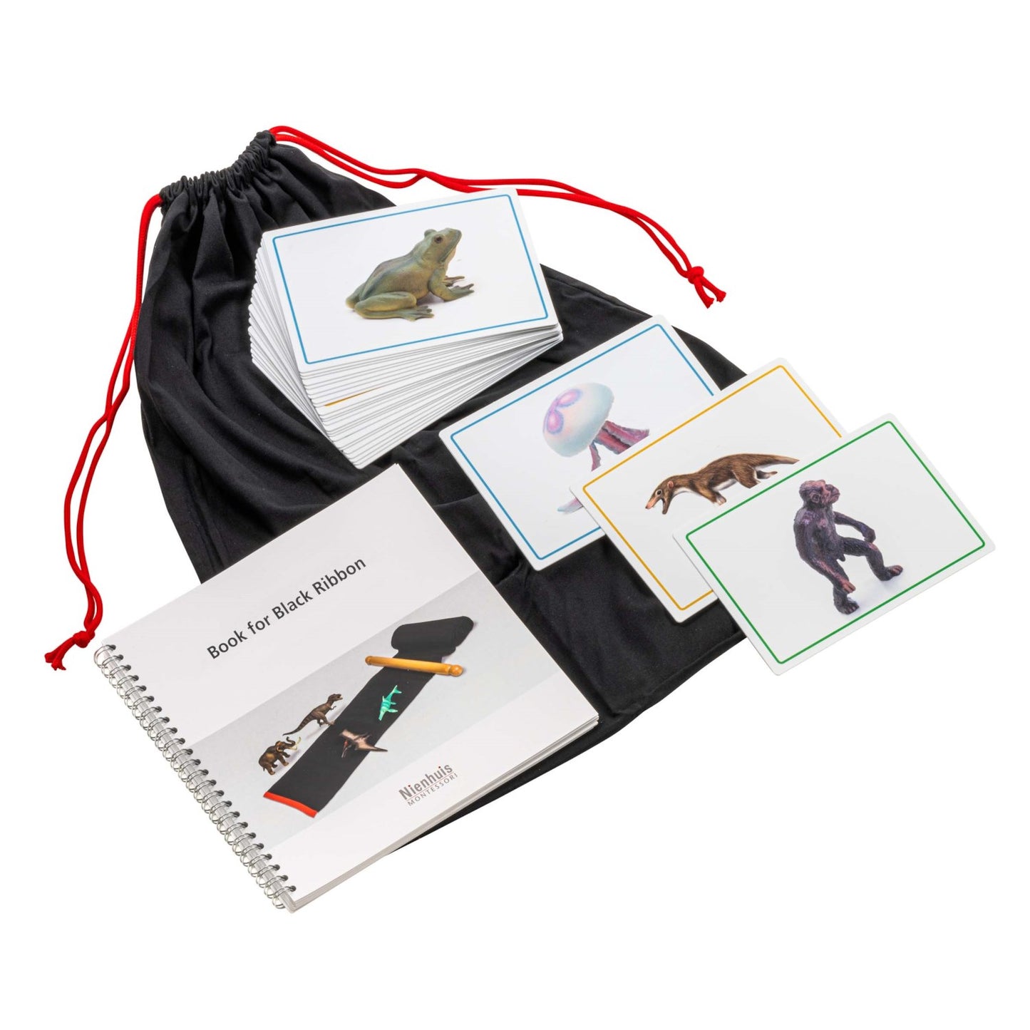 Niehuis Montessori Animals and Book for The Black Ribbon 蒙特梭利教具- 生物演化史之動物和圖冊