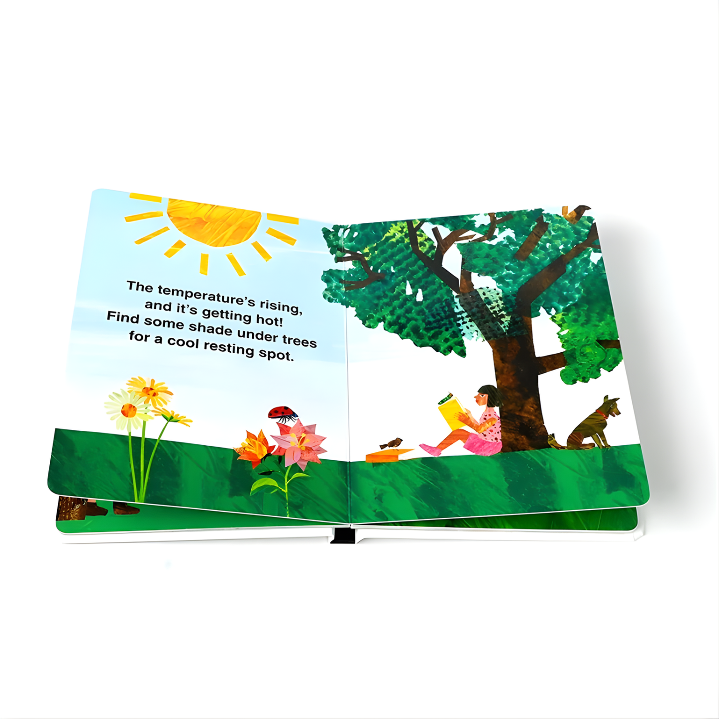 The Very Hungry Caterpillar's First Seasons Series