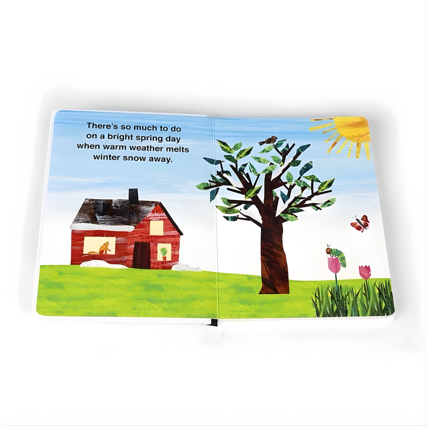 The Very Hungry Caterpillar's First Seasons Series